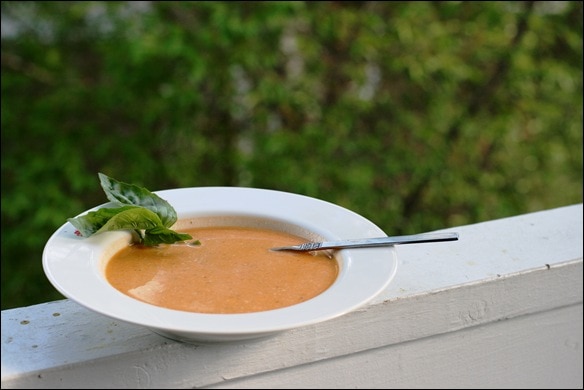 Creamy Tomato Basil Soup