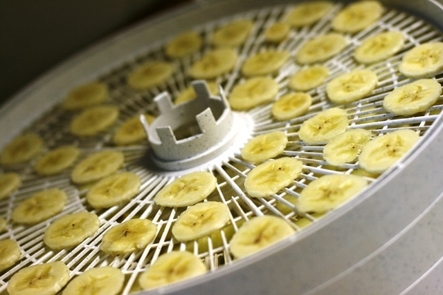 How to Dry Fruit Using a Dehydrator - fANNEtastic food