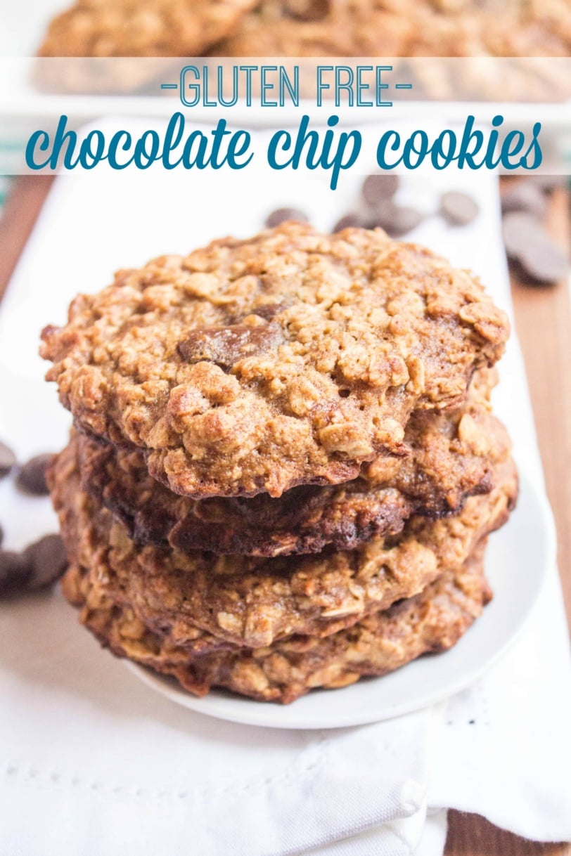 Chickpea Chocolate Chip Cookies (Gluten Free) | fANNEtastic food