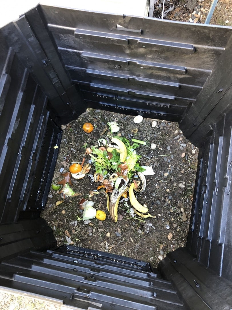 Everything you need to know to get started with home composting, Treading  My Own Path