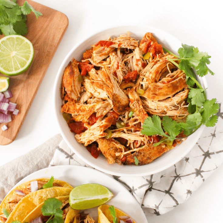 Crockpot Mexican Chicken (Easy & Delicious!) - fANNEtastic food