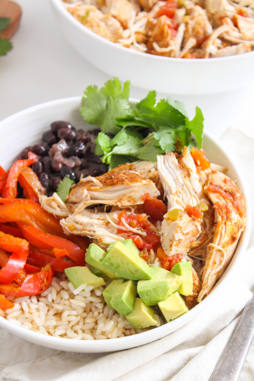 Instant Pot Mexican Chicken (Easy, Quick & Healthy!) - fANNEtastic food