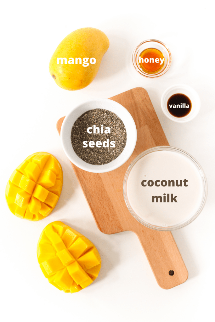 https://www.fannetasticfood.com/wp-content/uploads/2021/05/Mango-Chia-Pudding-ingredients-1-1-683x1024.png