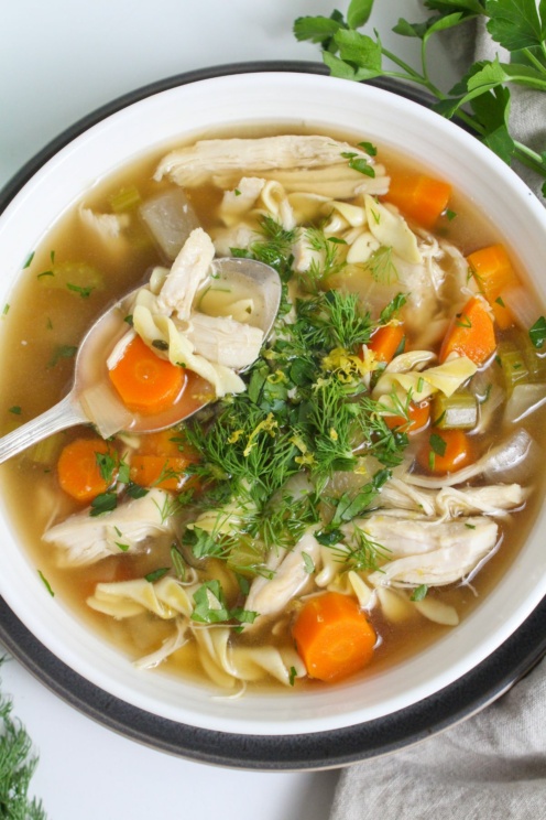 Easy Crockpot Chicken Noodle Soup (No Heavy Cream) - fANNEtastic food