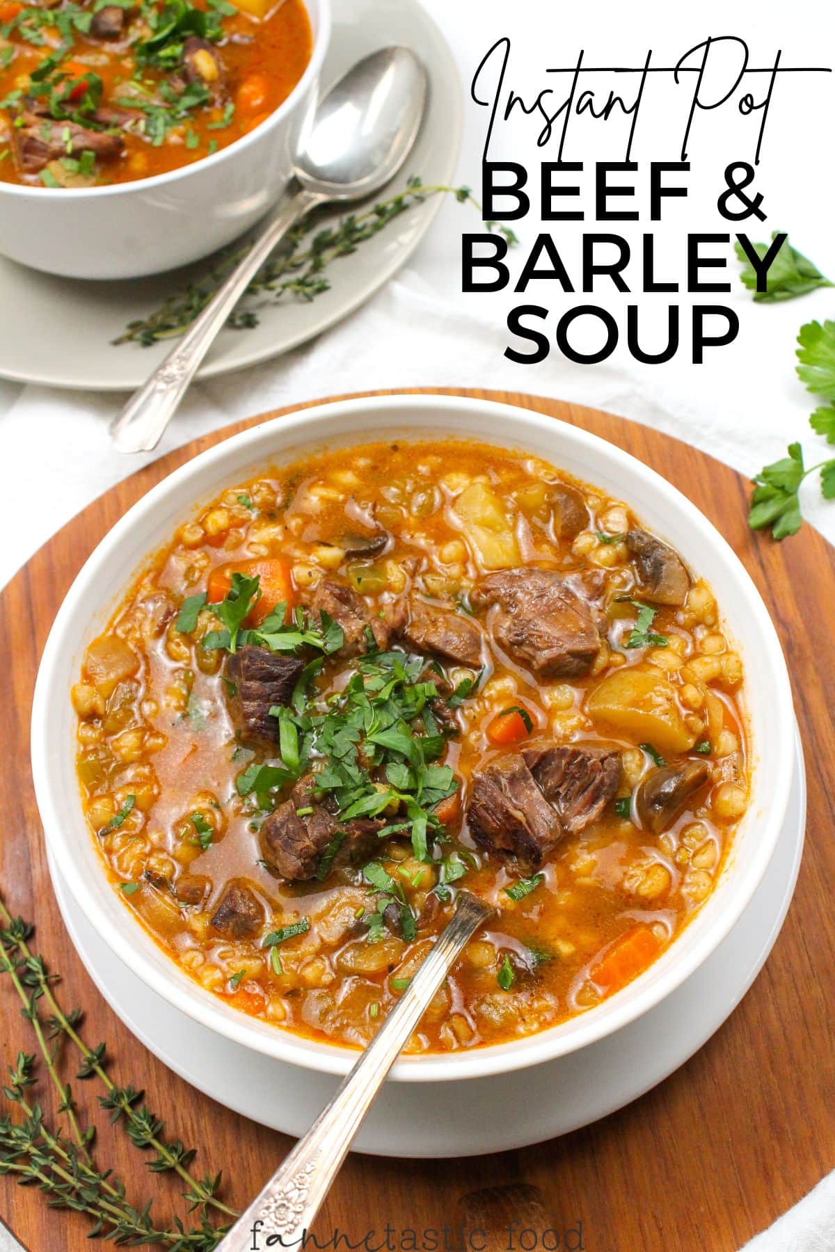 Instant Pot Beef and Barley Soup (Pressure Cooker) - DadCooksDinner