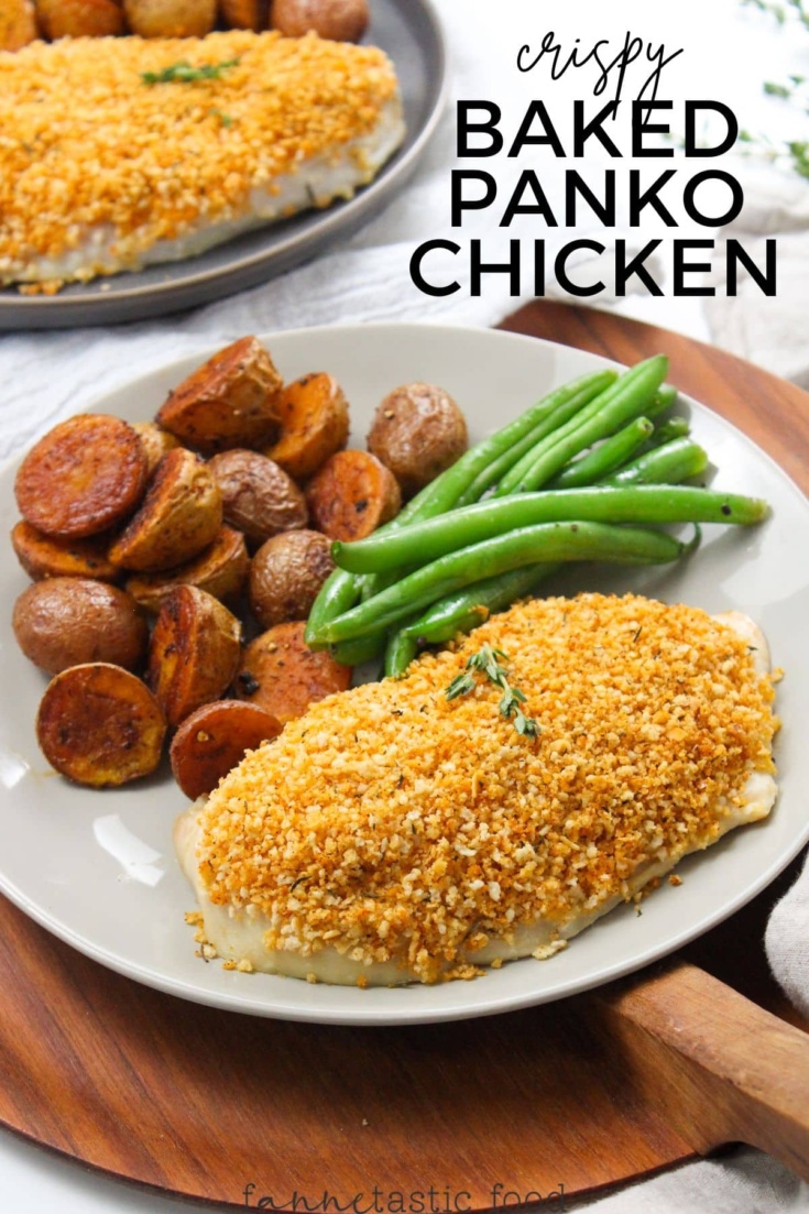 Oven Baked Panko Crusted Chicken (No Mayo & 10-Min Prep) - FANNEtastic Food