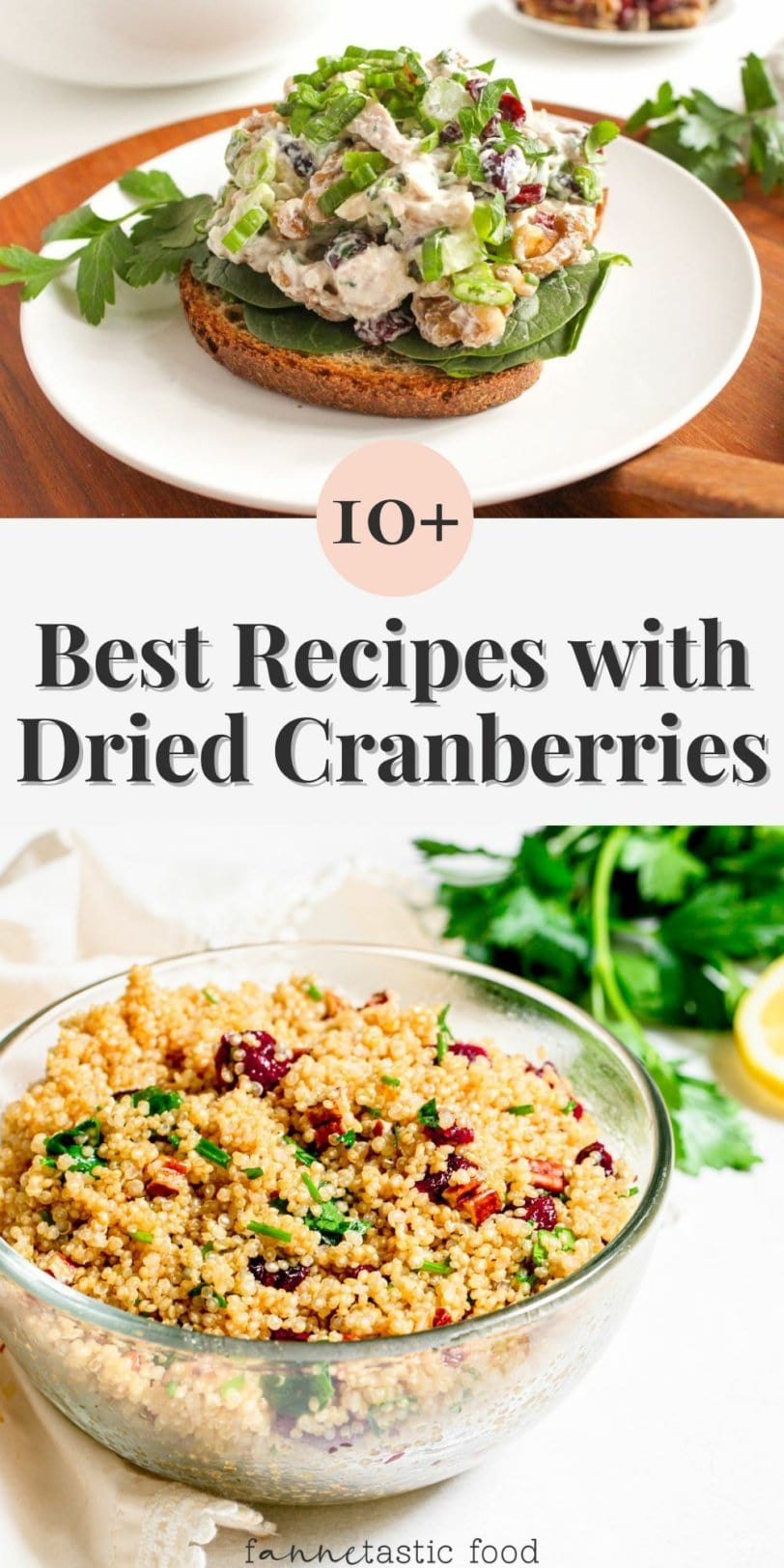 9 Easy Dried Cranberry Recipes You Ll Love FANNEtastic Food   Dried Cranberry Recipes FF Long Pin 2 812x1624 