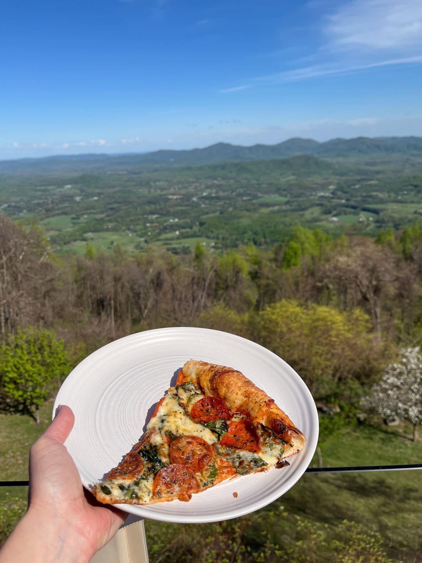 crozet pizza slice with a view of shenandoah