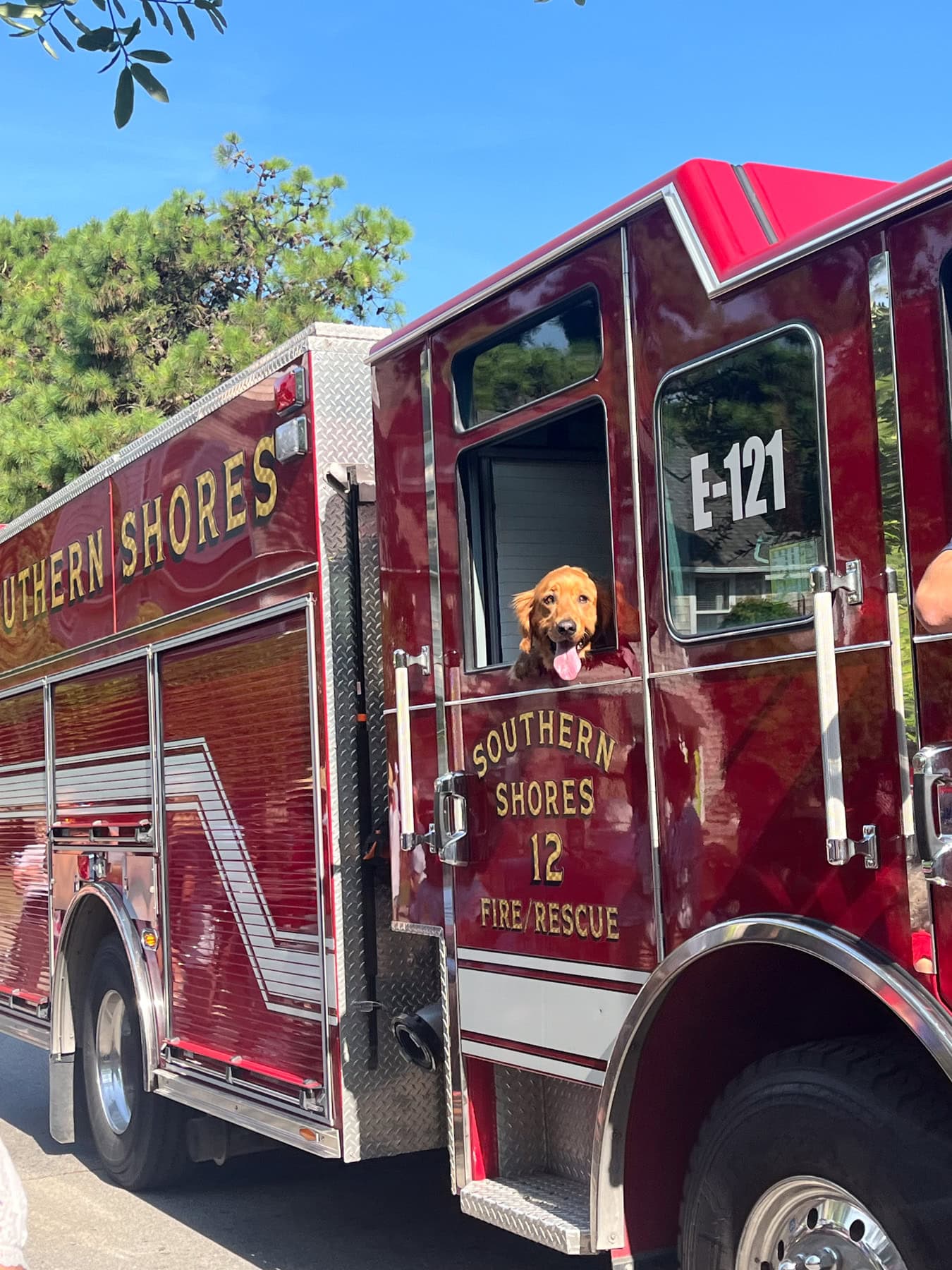 duck obx fire truck with cute dog