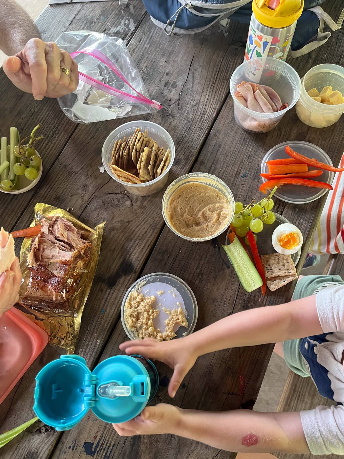 picnic lunch