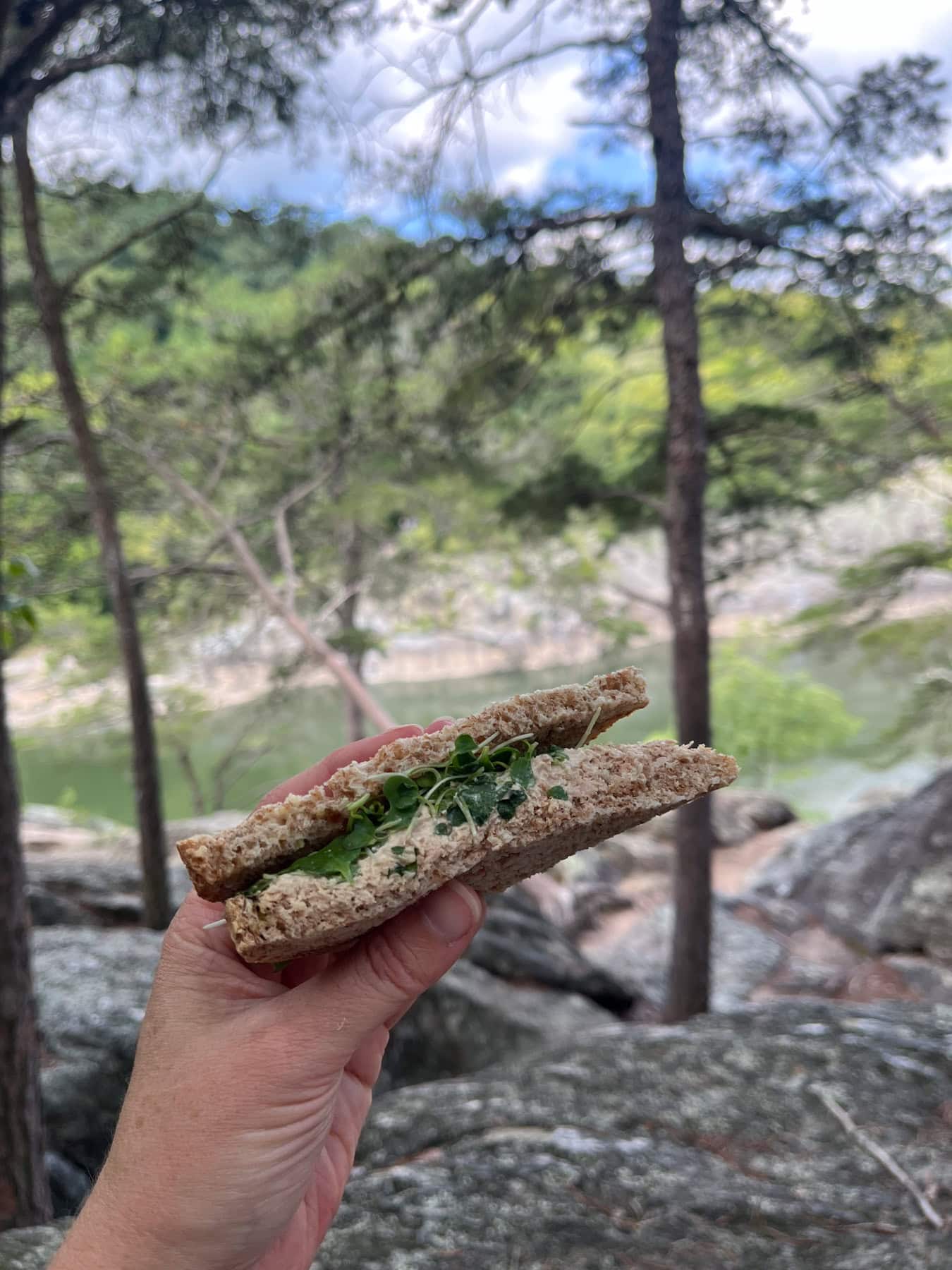 tuna sandwich with a view